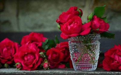 Hildegard Knef – Für mich soll’s rote Rosen regnen | Didaktisierung für DaF