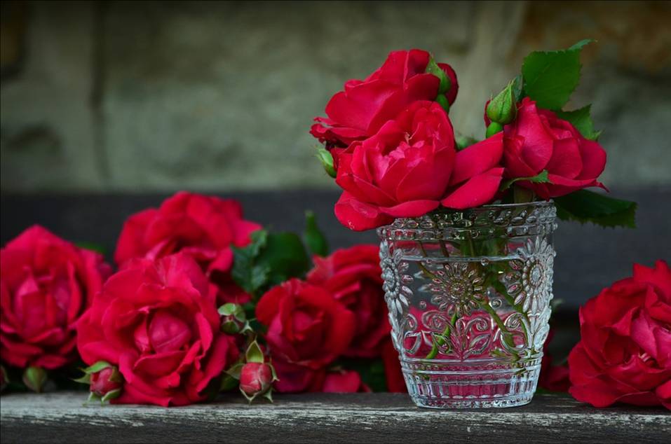 Didaktisierung für Hildegard Knef: Für mich soll's rote Rosen regnen für den Einsatz im DaF-Unterricht